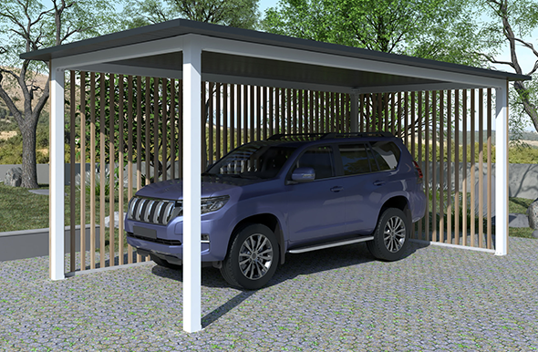 Carport avec une voiture